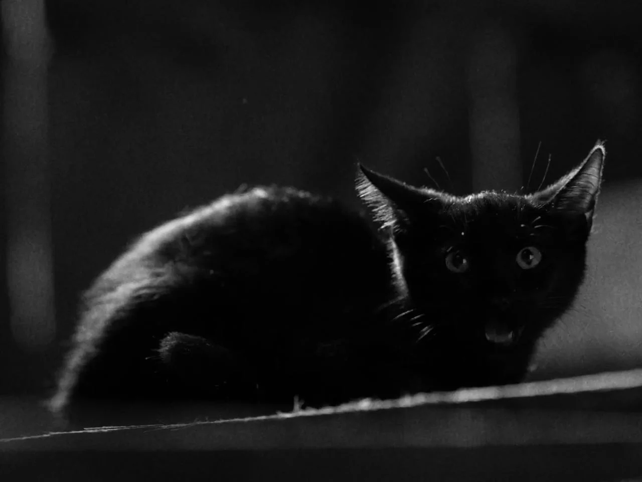 Still from The Fabric of Darkness